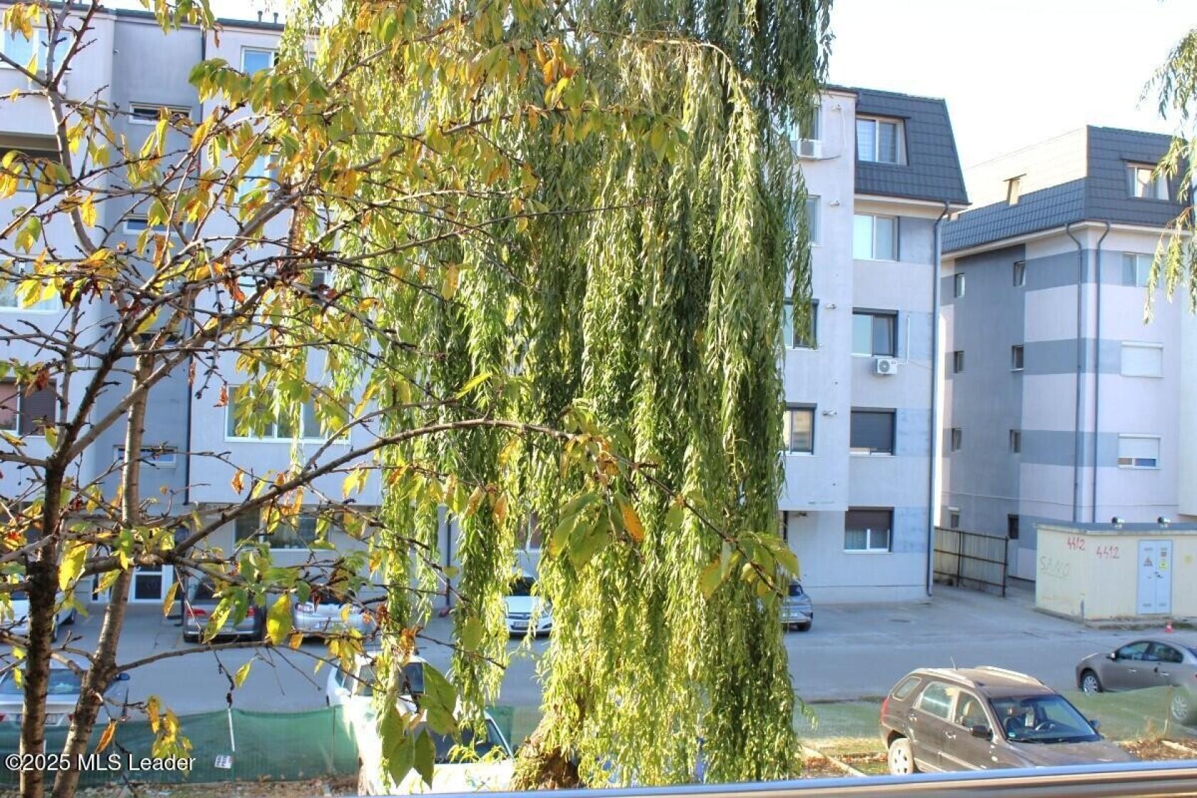 Poza 21