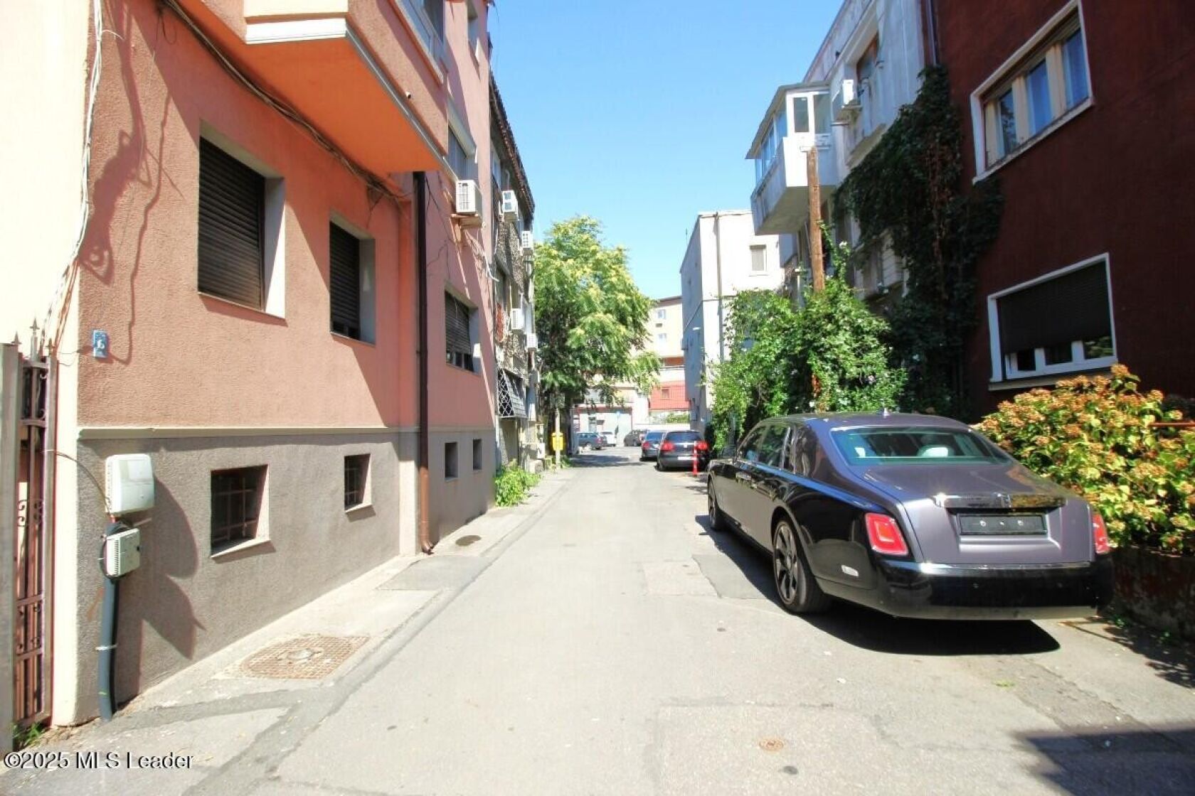 Poza 1